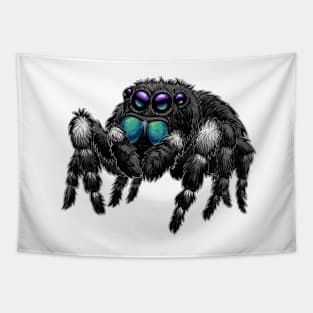 Daring Jumping Spider Phidippus Audax Tapestry