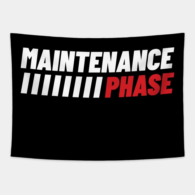 Maintenance Phase Tapestry by Emma