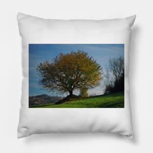 Autumn tree Pillow