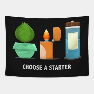 Choose A Starter Tapestry