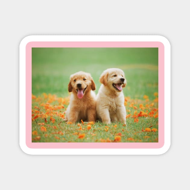 Puppies Magnet by nice_gifts_4u