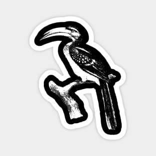 hornbill Magnet