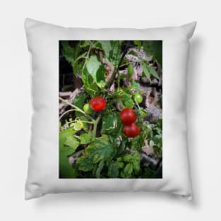 Tomatoes Pillow