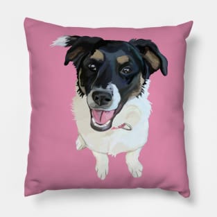 Cute Canine Border Collie Mix Pillow