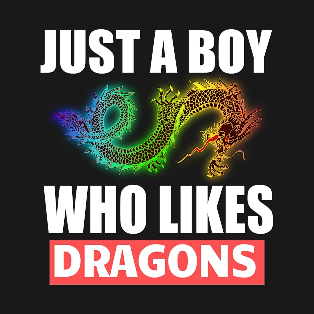 Just a boy who likes dragons by Realfashion