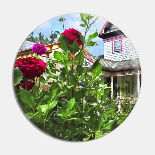 Belvidere NJ - Dahlias in Front Garden Pin