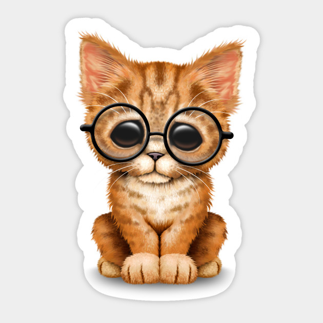 Cute Orange Tabby Kitten Wearing Eye Glasses Cute Kitten