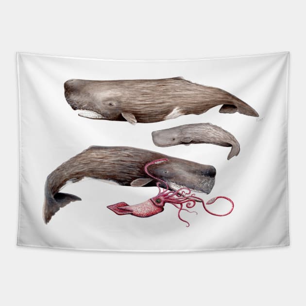 Sperm whale family Tapestry by chloeyzoard