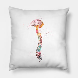 Human Spine with Brain Pillow