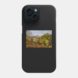 Autumn on Red Bank Phone Case