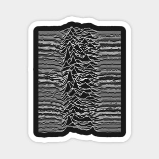 Unknown Pleasures  [D01] Magnet