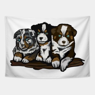Australian Shepherd Dog Puppy Tapestry
