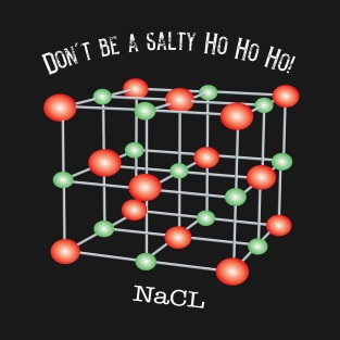 Dont't Be a Salty Ho Ho Ho! T-Shirt