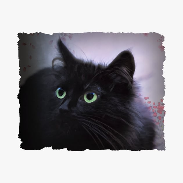 Black Cat Green Eyes by PhotoArts