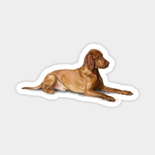 The Vizsla Dog Magnet