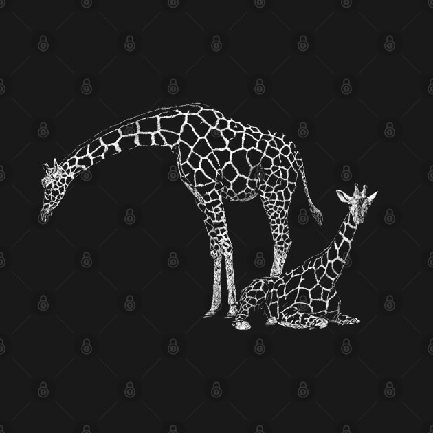 Giraffes by sibosssr