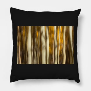 Fall Abstract II Pillow