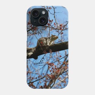 Central Park Squirrel Phone Case