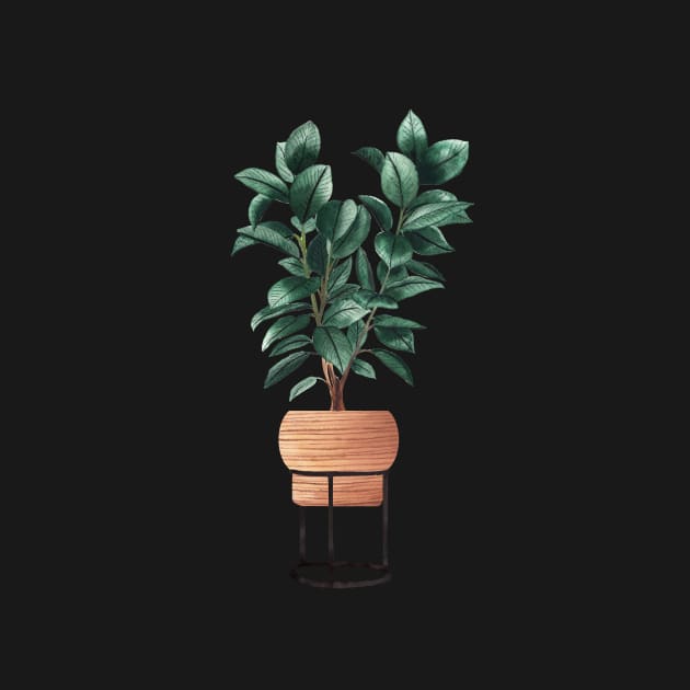 Ficus Elastica Illustration by gusstvaraonica