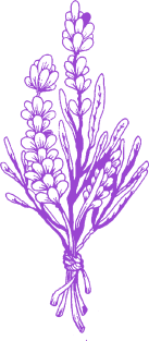 Lavender Branches Magnet