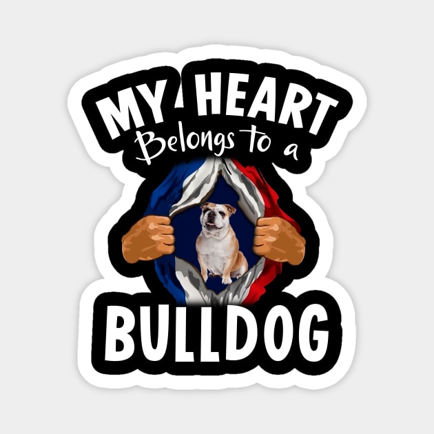 My Heart Belongs To A English Bulldog Magnet by Pelman