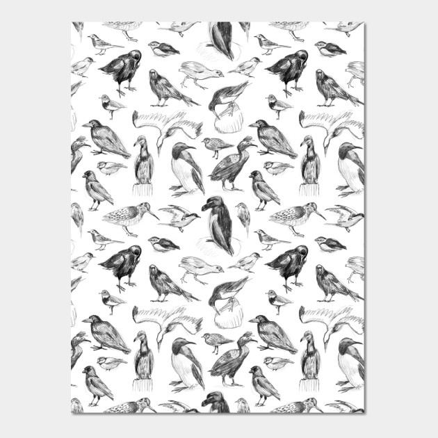 Manx Fauna – Birds - Birds - Posters and Art Prints