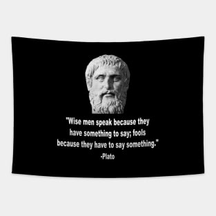 Quote By Plato Tapestry