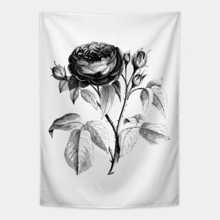 Black Rose Flower Vintage Botanical Illustration Tapestry