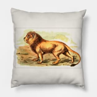 Lion Illustration Pillow