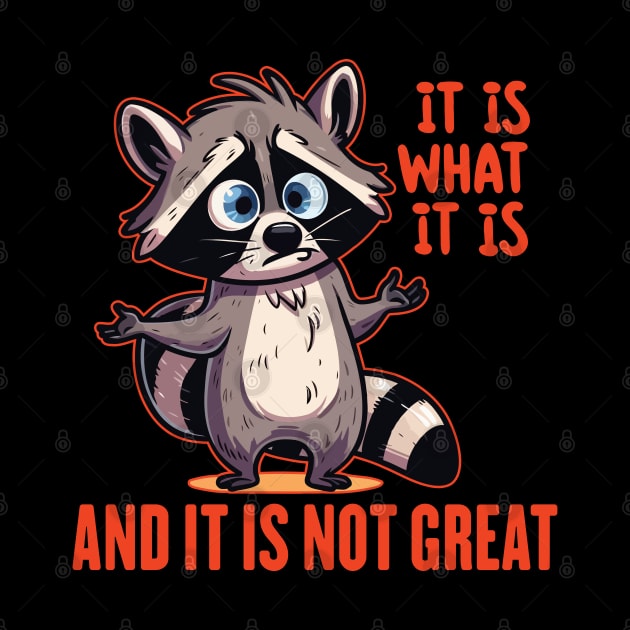 Funny Raccoon It Is What It Is And It Is Not Great by badCasperTess