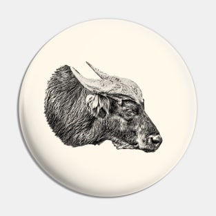 African forest buffalo Pin