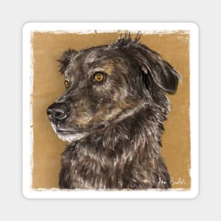 Painting of a Cute Furry Brown Dutch Shepherd Dog Magnet
