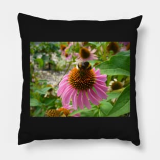 Bumble Bee on Echinacea Pillow