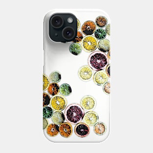 Fruit Slices Phone Case