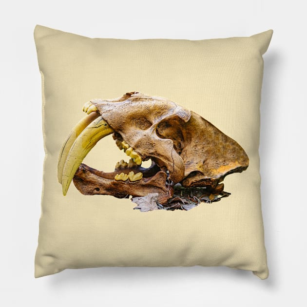 Side view of Saber Toothed Tiger Skull Pillow by dalyndigaital2@gmail.com