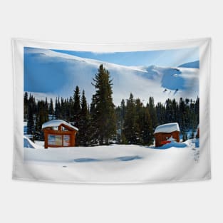 Canadian Rocky Mountains Icefields Parkway Canada Tapestry