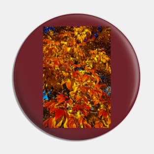 Autumn leaves. Pin