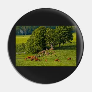 English Country Farming Scene Pin