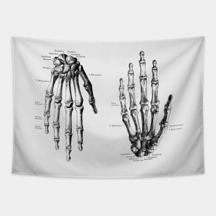 Double Hand Skeletal Diagram - Vintage Anatomy Tapestry