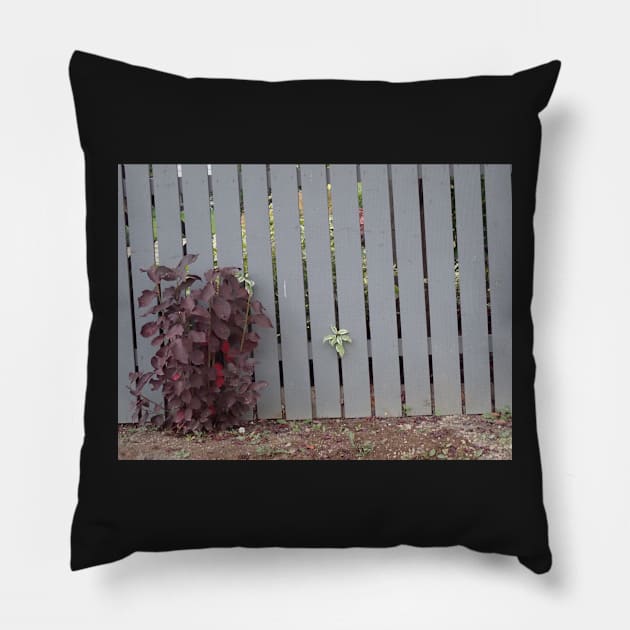 fence Pillow by xaxuokxenx