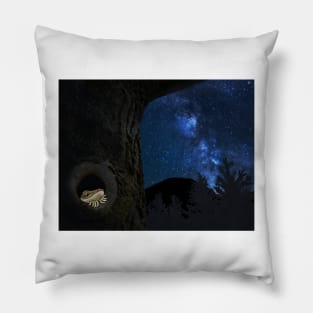 Max the lizard stargazing from a tree Pillow