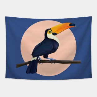 Toucan Tapestry