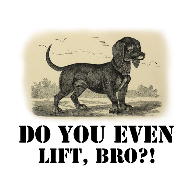 Do you even lift, bro? by ArtisticFloetry