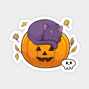 Halloween kitty with pumkin Magnet