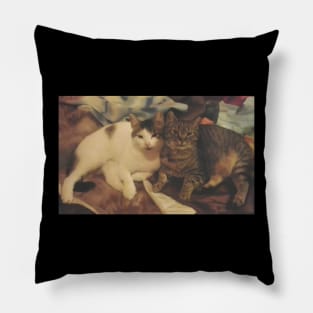 Cat Lover Gifts. Adorable Feline Bond Pillow