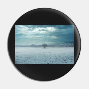 Lone tree in snow covered landscape Pin