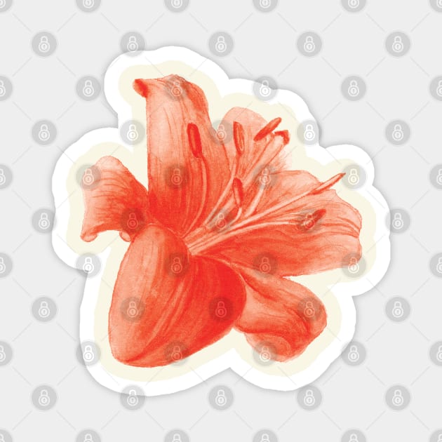 Red Lily Flower Magnet by VeraAlmeida