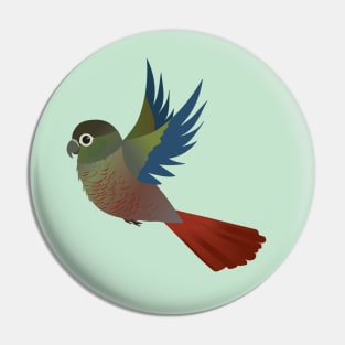 Flying Green-cheeked conure Pin