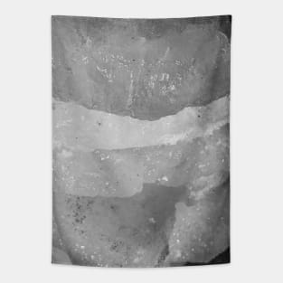 Ice Texture Tapestry