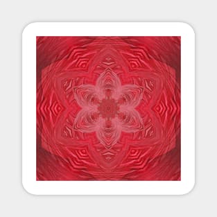 Hexagonal floral fantasy pattern and designs in shades of pink and red Magnet